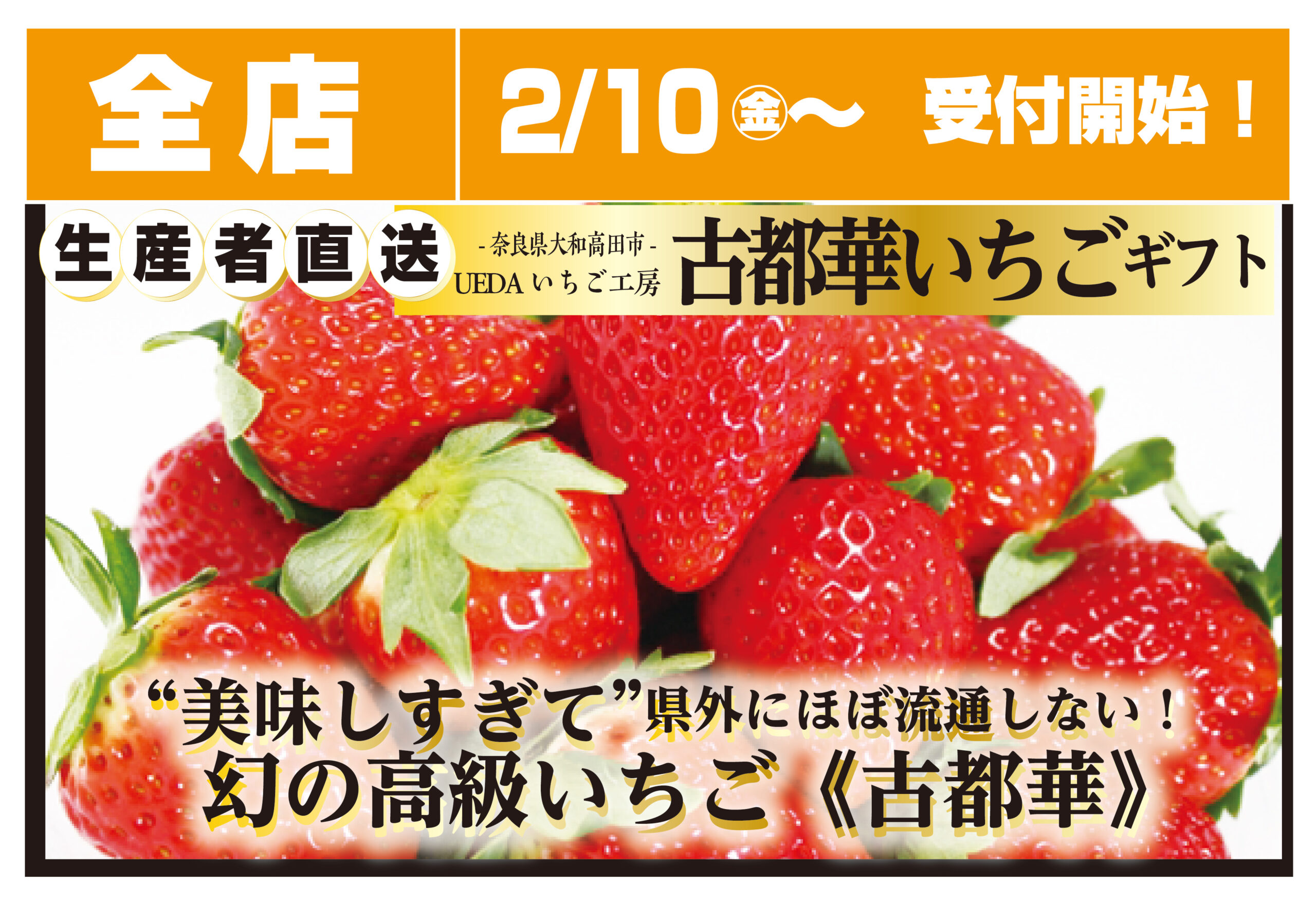 いちご様購入専用 ギフトボックス3箱】古都華（ことか）- 6パック | いちごの古都