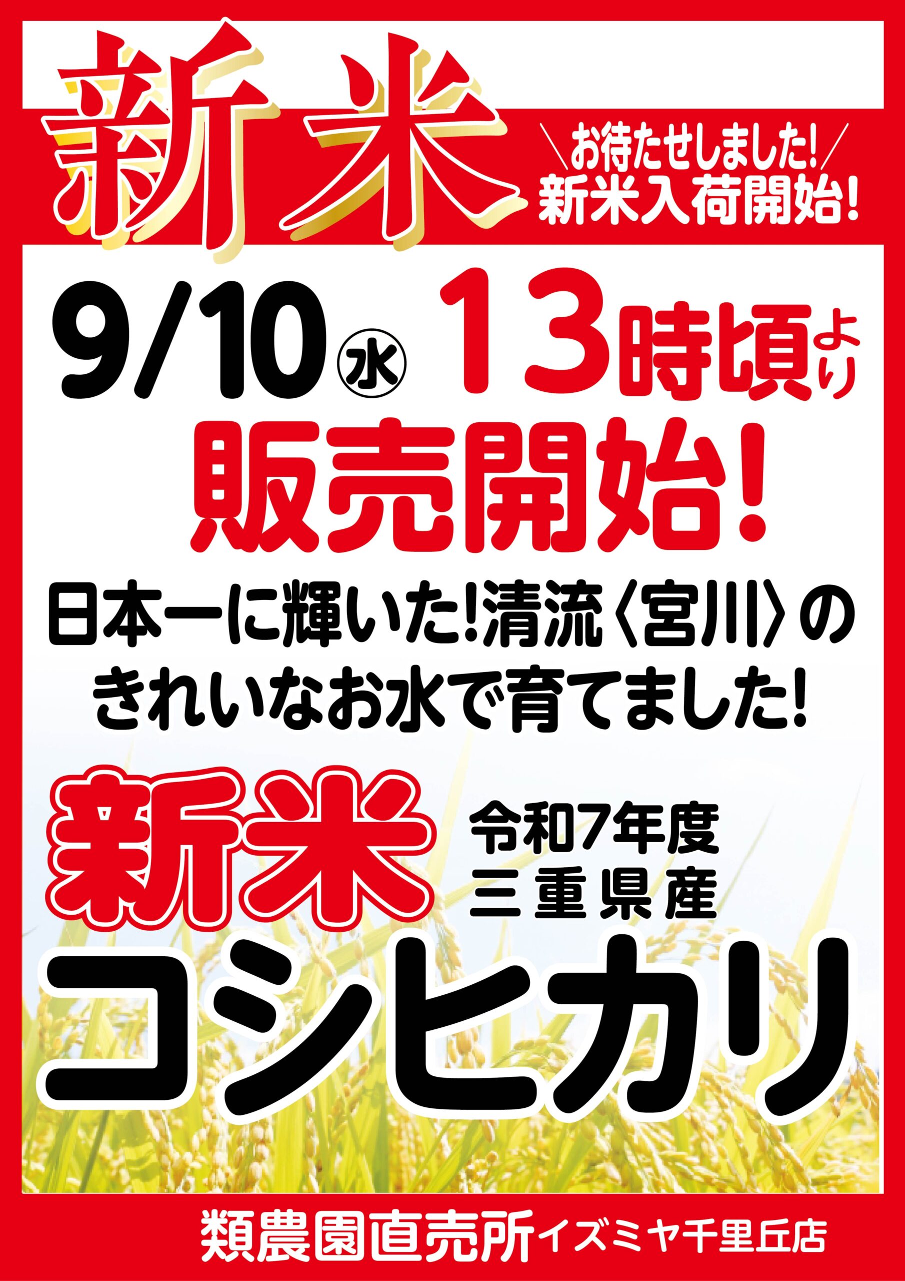 令和7年度産《新米》販売開始！ – 類農園直売所